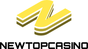 newtopcasino.com